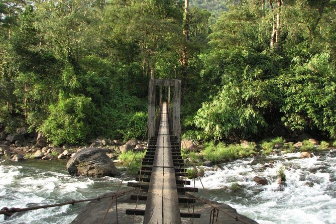 1 Day Activity Adventure Trekking Kerala - A Forest-and-Waterfall Day Trip from Kochi