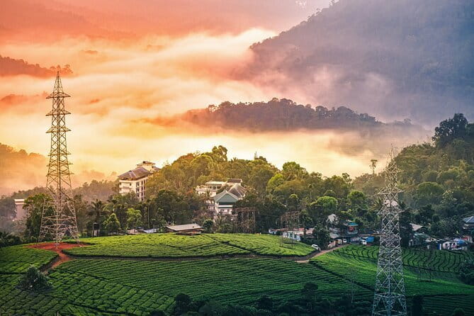 12 Hours Private Munnar Tour from Kochi - Key highlights at a glance