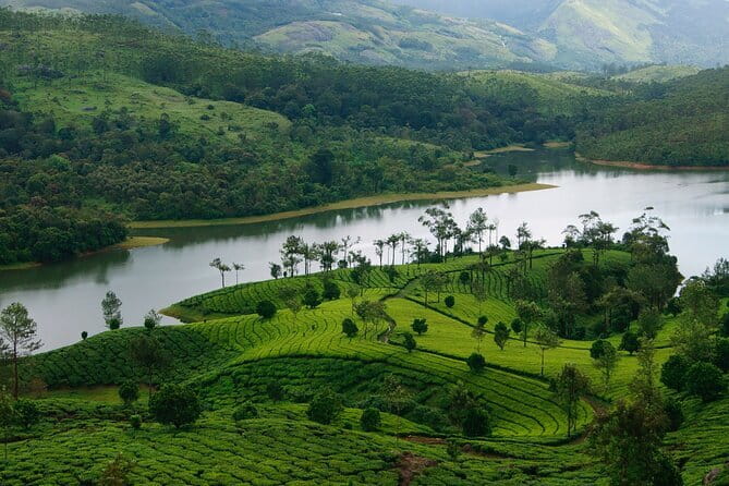 12 Hours Private Munnar Tour from Kochi - Valara Waterfalls: a second waterfall stop, same day