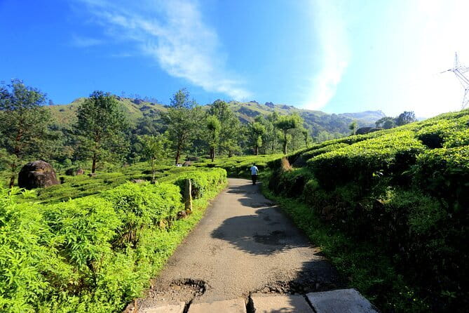 12 Hours Private Munnar Tour from Kochi - Cheeyappara Waterfalls: your first payoff in Idukki
