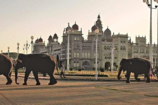 2 Day Bandipur Safari and Mysore Palace Tour - Mysuru Palace with a guide: what makes it worth the time