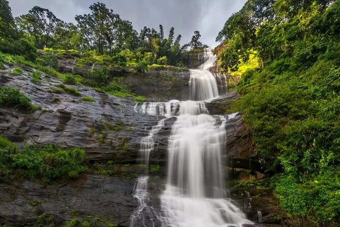 3 Nights Private Kerala Premium Package by Sanguine Holidays - Day 2 in Munnar: Rajamalai National Park, dams, Echo Point, and the Kannan Devan Tea Museum