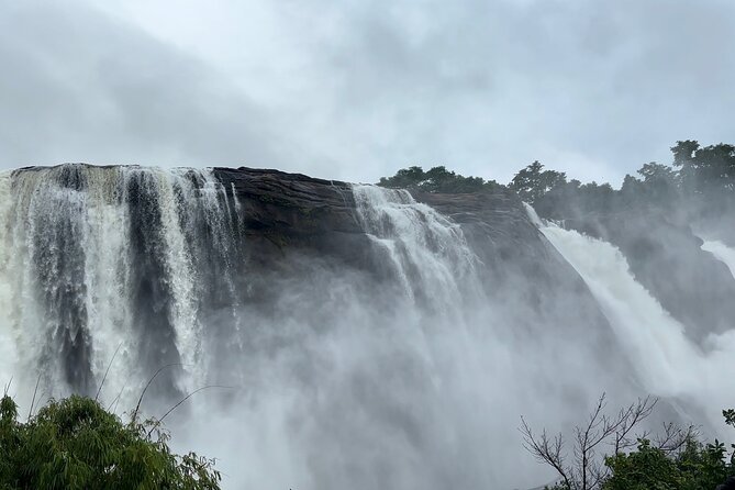 4 Day Kerala Tour Athirappilly Munnar Alleppey - Four days from Kochi to the backwaters: the big idea