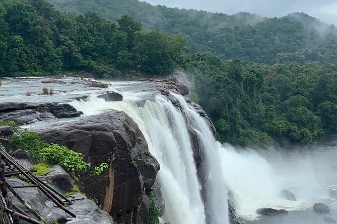 4 Day Kerala Tour Athirappilly Munnar Alleppey - Munnar tea estate walking, tea museum, and photo stops