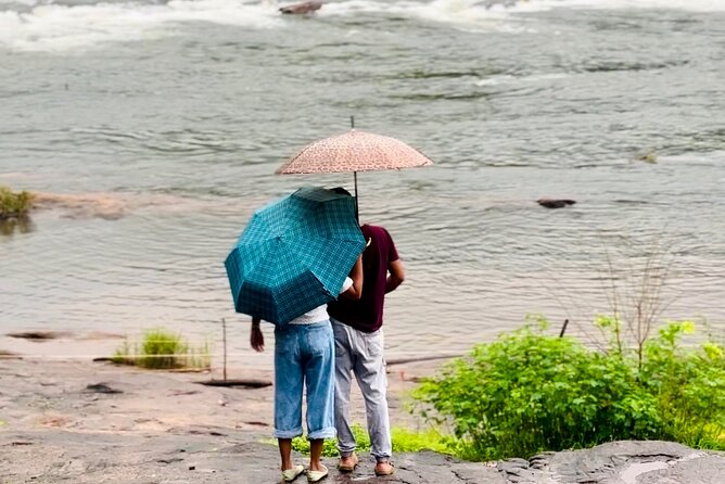 4 Day Kerala Tour Athirappilly Munnar Alleppey - Day 4: Checkout in Alleppey, then Kochi performances at night