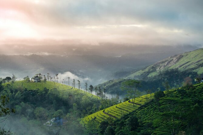 4 Days Private Kerala Tour -Kochi, Munnar, Thekkady with 3<em> Hotel – Key highlights at a glance’ /></p>
<ul>
<li><strong>Private, air-conditioned vehicle</strong> with driver, fuel, tolls, and parking handled</li>
<li><strong>Cheeyappara and Valara Waterfalls</strong> near Munnar for short stops and strong photos</li>
<li><strong>KDHP Tea Museum and Munnar gardens</strong> to understand how tea is grown and processed</li>
<li><strong>Echo Point, Kundala Lake, and Mattupetty Dam</strong> for viewpoints around the hills</li>
<li><strong>Periyar Wildlife Sanctuary by Periyar Lake</strong> with real wildlife odds</li>
<li><strong>Fort Kochi history day</strong>: Chinese Fishing Nets, Princess Street, and Santa Cruz Cathedral Basilica</li>
</ul>
<h2 id="arrival-in-kochi-and-the-long-green-drive-to-munnar">Arrival in Kochi and the long green drive to Munnar</h2>
<p><img width="669" height="446" decoding="async" src=