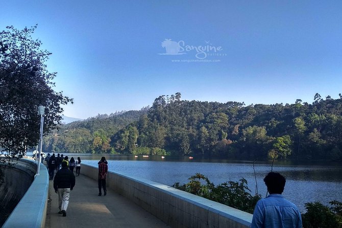 5 Days Budget Kerala Tour Packages by Sanguine Holidays - Day 5: Fort Kochi and Kochi Church-and-Palace Walking Time