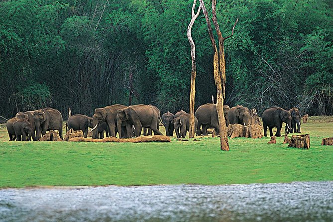 5 Days Kerala Tour Package With 4 Star Stays & Private Houseboat - Key Highlights Worth Booking For