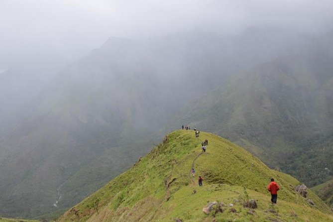 5 Days Kerala Tour Package With 4 Star Stays & Private Houseboat - Day 3: Spice Garden Walk, Periyar Wildlife Sanctuary, and Kathakali + Kalaripayatt
