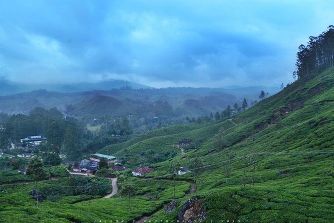 5 Days Kerala Tour Package With 4 Star Stays & Private Houseboat - Meals Included vs. Entry Tickets: How to Budget Without Stress