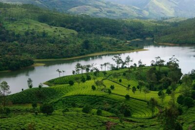 5 Days Luxury Kerala Tour with Houseboat Experience - Day 2: Eravikulam National Park + tea museum + dam views