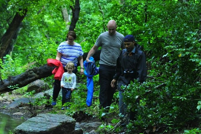 5-Days Private Kerala Tour with Sightseeing Tickets - Kochi Pickup to Munnar First Impressions: Waterfalls and a Slow Start
