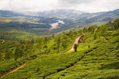 6 Days Private Tour Kerala Natural Retreat - Munnar highlights: Eravikulam area, Echo Point, dams, and Rose Gardens