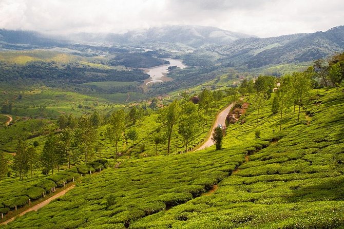 6 Days Private Tour Kerala Natural Retreat - Munnar highlights: Eravikulam area, Echo Point, dams, and Rose Gardens