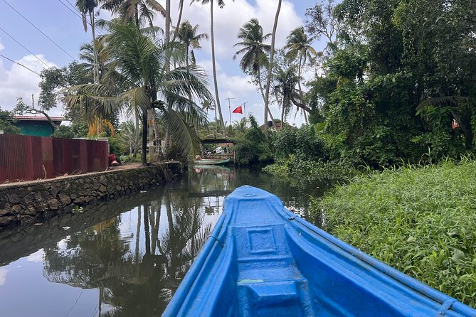 6hrs Alleppey Houseboat Tour-Serene Canals, Local Life & Food. - A 6-hour backwater day tour with lunch included