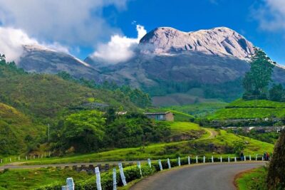 7-Day Kerala Luxury Tour from Cochin with Private Driver - Day 2: Munnar’s hill air and the long road that’s worth it