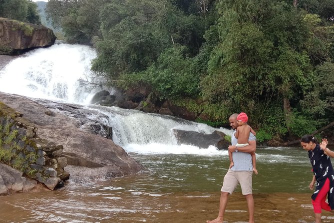 Anakulam Wild elephant Visiting & Tribal village 4<em>4 Ride – Perumbankuthu and 33 Waterfalls Mankulam: the water moments’ /><br />
You get two big waterfall-style experiences here, and both are positioned as nature-first stops rather than high-traffic attractions.</p>
<p><p>First up is <strong>Perumbankuthu Waterfalls</strong>:</p>
</p>
<ul>
<li>Around 30 minutes</li>
<li>Admission is free</li>
<li>One side is described as surrounded by bamboo forest</li>
</ul>
<p><p>That bamboo detail is exactly why this kind of stop feels different. You’re not just looking at water—you’re surrounded by plant life and shade, which can make the whole break feel cooler and calmer.</p>
</p>
<p><p>Then later you reach <strong>33 Waterfalls Mankulam</strong>:</p>
</p>
<ul>
<li>About 1 hour</li>
<li>Described as private waterfalls</li>
<li>Admission included</li>
<li>You can have lunch or snacks there</li>
</ul>
<p><p>This is a key value point. The experience is already a full day, and this stop gives you a built-in chance to eat without changing plans. The “private waterfalls” phrasing suggests fewer crowds and a more relaxed feel compared to the most popular routes.</p>
</p>
<p><p>Still, admission is included here, while other waterfall stops are not. That mix is common on region tours, but it means you’ll want to keep a little cash or card space for any extra entry fees at non-included stops. And remember: snacks aren’t included overall, so you’ll likely want to plan to purchase snacks as needed or rely on the food opportunity at 33 Waterfalls Mankulam.</p>
</p>
<h2 id="elephant-view-point-where-the-days-best-chance-clusters">Elephant View Point: where the day’s best chance clusters</h2>
<p><img width="669" height="446" decoding="async" src=