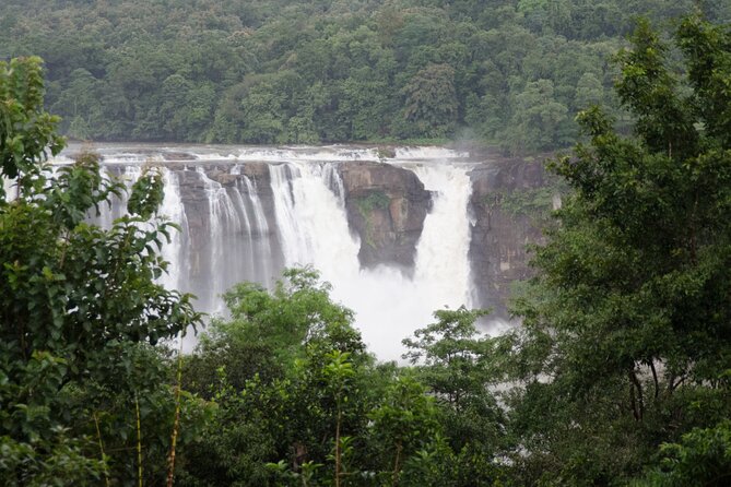 Athirapally Waterfalls from Cochin - Private chauffeur logistics: what you’re really paying for