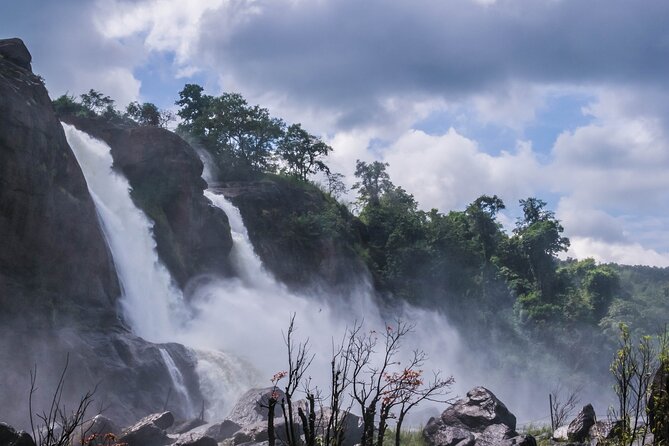 Athirapally Waterfalls from Cochin - Price and value: does $99 make sense for what you get?