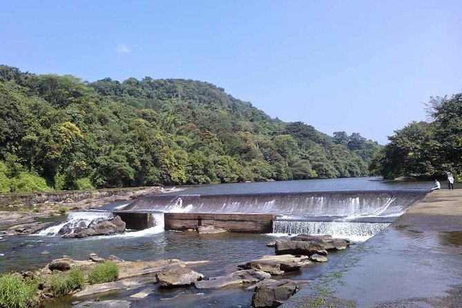 Athirappally & Vazhachal Waterfall Tour with Lunch - Price and Value: What $70.55 Buys in a Full Day