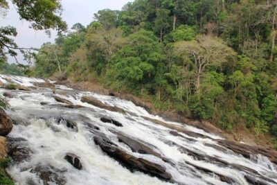 Athirappally & Vazhachal Waterfall Tour with Lunch - Athirappilly Falls: 25 Meters of Power and Elephant Territory