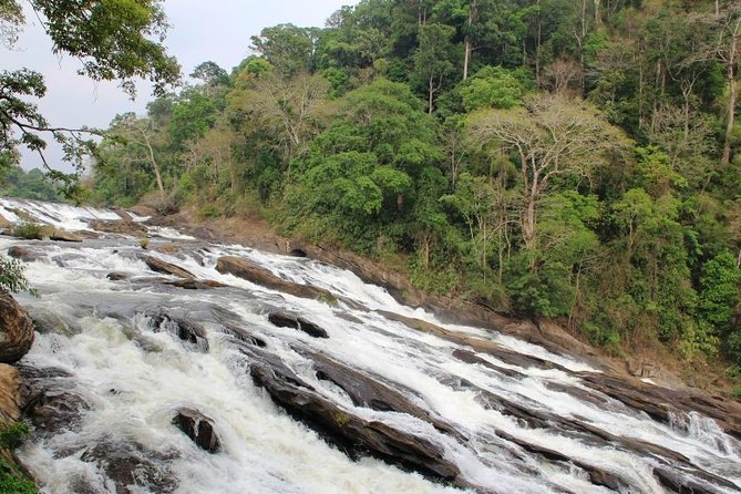 Athirappally & Vazhachal Waterfall Tour with Lunch - Athirappilly Falls: 25 Meters of Power and Elephant Territory