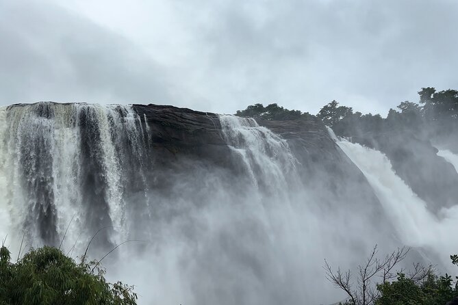 Athirappilly Waterfalls Day Trip from Kochi with Transfers - The drive from Kochi: comfortable transfers that keep the day short