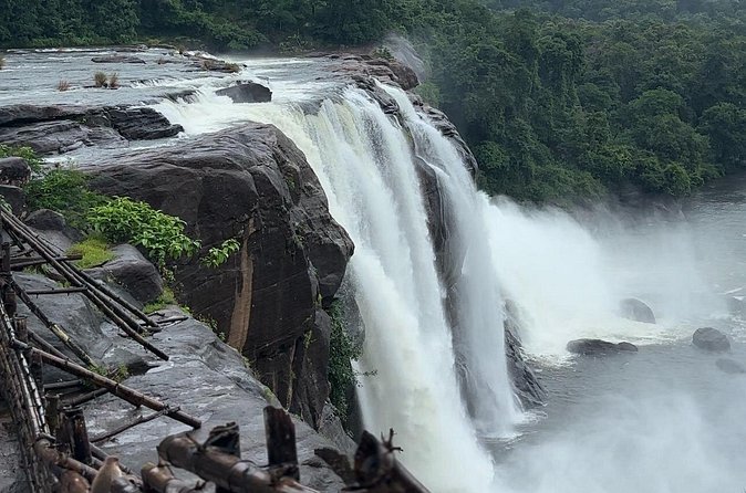 Athirappilly Waterfalls Day Trip from Kochi with Transfers - Who makes the drive better: the role of your driver