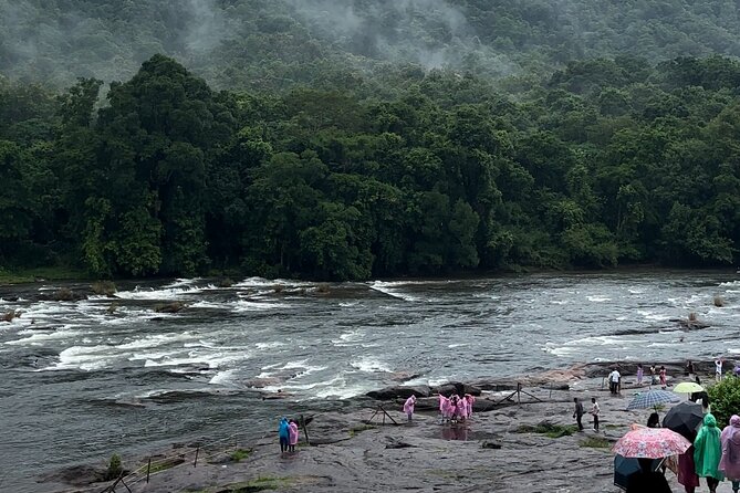 Athirappilly Waterfalls Day Trip from Kochi with Transfers - Price and value: is $67 reasonable for a 4-hour outing?