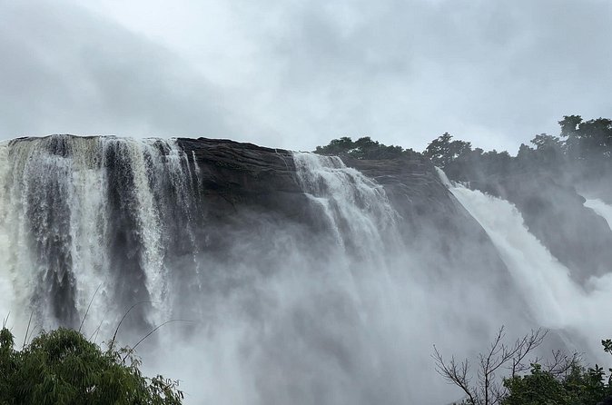 Athirappilly Waterfalls Day Trip from Kochi with Transfers - Best fit: who will enjoy this day trip and who might not