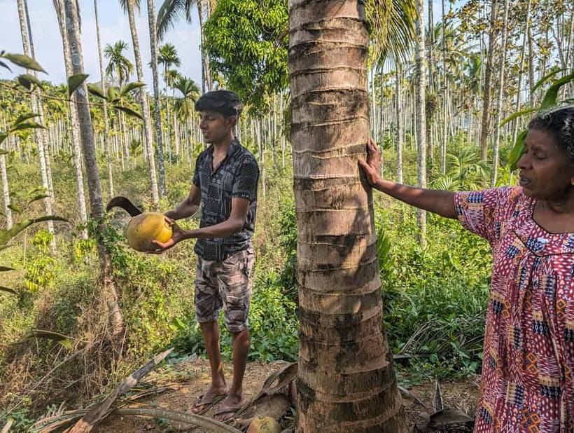 Authentic local vegetarian Kerala cooking class in Wayanad - Walking Through Garden, Fields, Temple, and Plantations