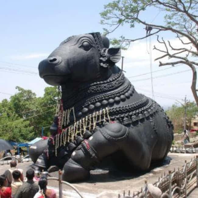 Bangalore City Tour: Lalbagh, Tipu Palace & Bull Temple - Tipu Sultan’s Summer Palace and Museum: where design tells a story
