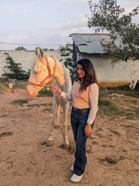 Bangalore: Horse Riding Safari Tour - Key highlights at a glance