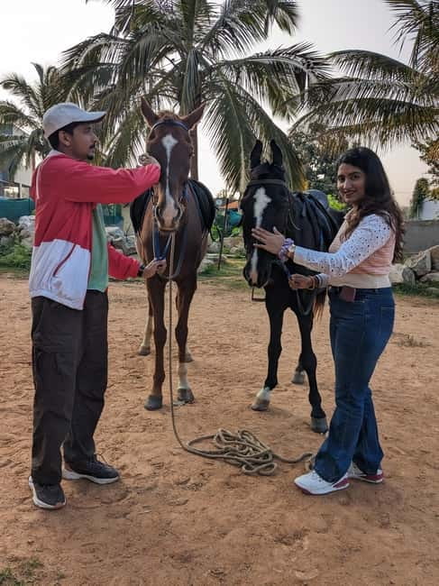 Bangalore: Horse Riding Safari Tour - Meet, feed, and brush your horse first