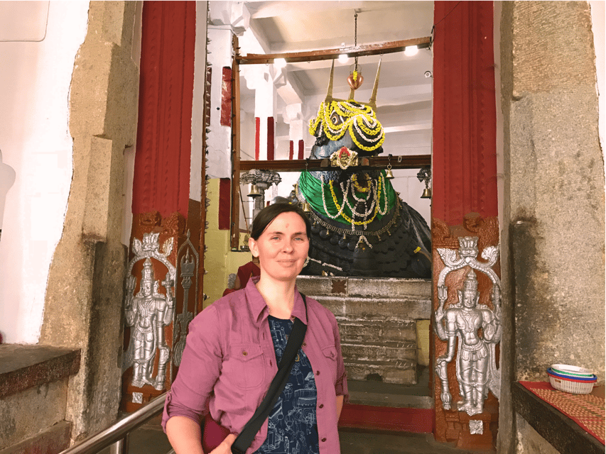 Best of Bangalore - Half day Private tour in 3 hours - KR Market: Asia-scale flowers in a tight, walkable window