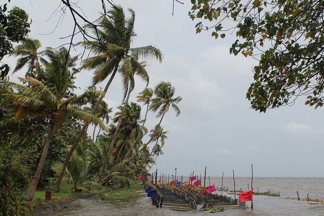 Best of Kerala - Day 2 Alleppey backwaters: a full cruise day, sunset dock, and overnight on board