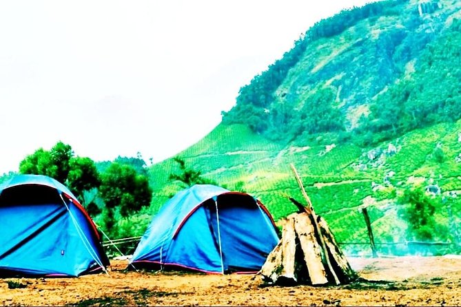 Camping Suriyaneli/Munnar Kerala - Tea plantation camp life near Suryanelli (what the day feels like)