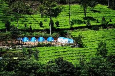 Camping Suriyaneli/Munnar Kerala - The Kolukkumalai sunrise moment: jeep safari at 4:30 AM
