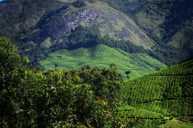 Camping Suriyaneli/Munnar Kerala - Check-out at 12 PM: a well-timed finish
