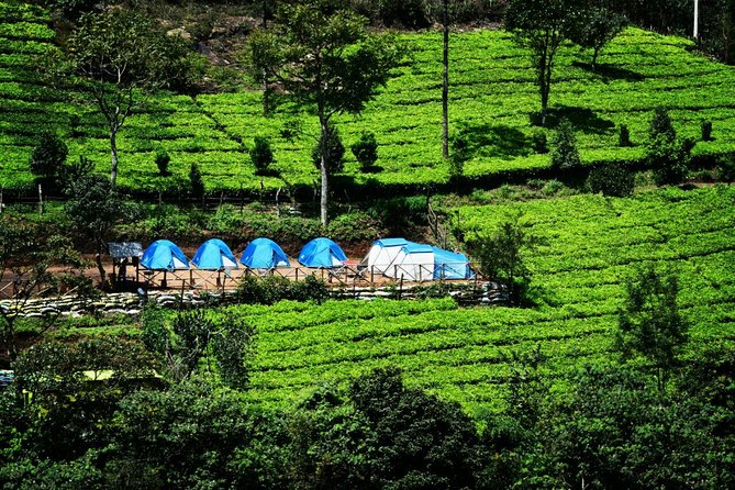 Camping Suriyaneli/Munnar Kerala - The Kolukkumalai sunrise moment: jeep safari at 4:30 AM