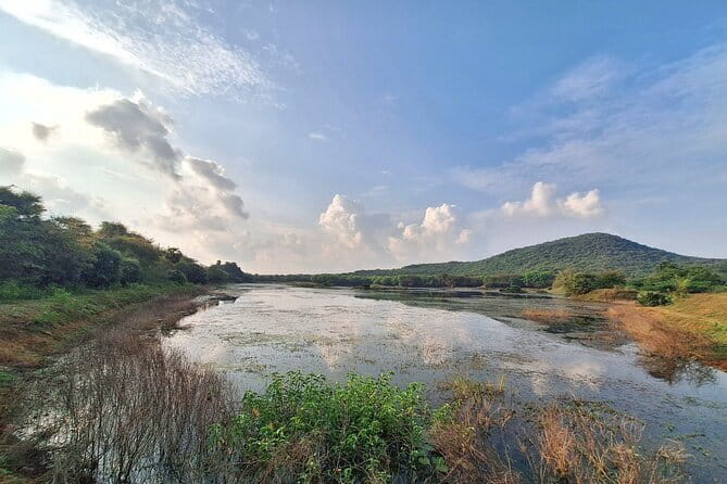 Chennai, Birding with Spotting Scope & Photography 2-3 hours - Where the Guide May Take You Beyond Pallikaranai