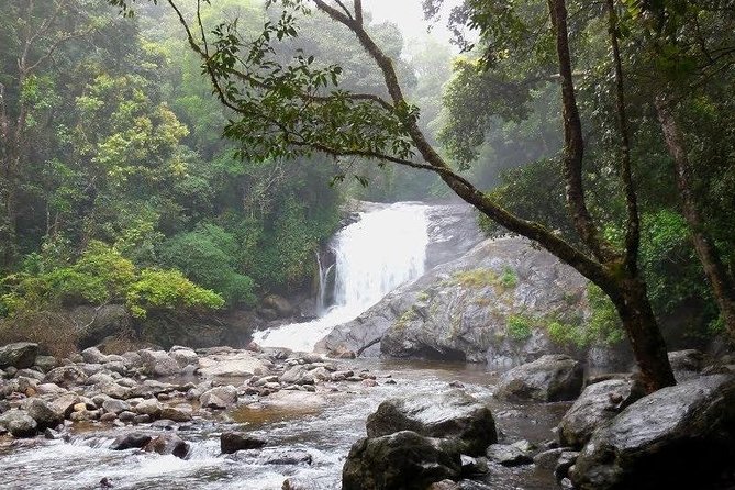 Chinnar Wild-life Visiting Tour (Eravikulam National Park) - Chinnar Wildlife Sanctuary: the jungle experience with local-language trekking