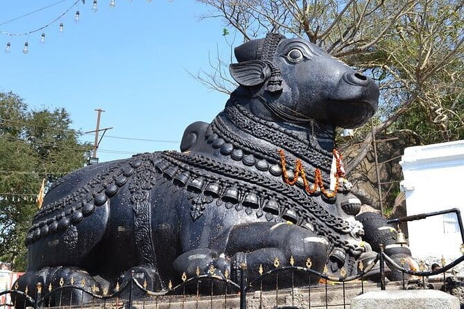 City tour of Beautiful Bengaluru - Half Day - Key highlights that make this half-day feel worth it