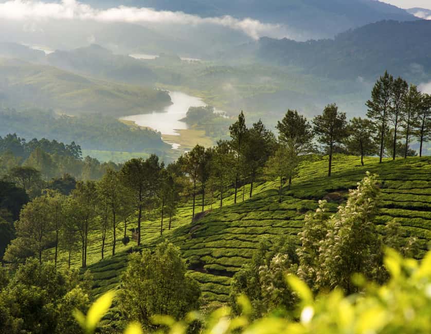 Cochin: 5-Day Kerala Tour with Munnar, Thekkady and Alleppey - Day 3: Thekkady and Periyar Lake—wildlife time that actually fits a schedule