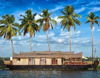 Cochin: 5-Day Kerala Tour with Munnar, Thekkady and Alleppey - Day 2: Eravikulam National Park for Nilgiri Tahr, plus tea history and lake viewpoints