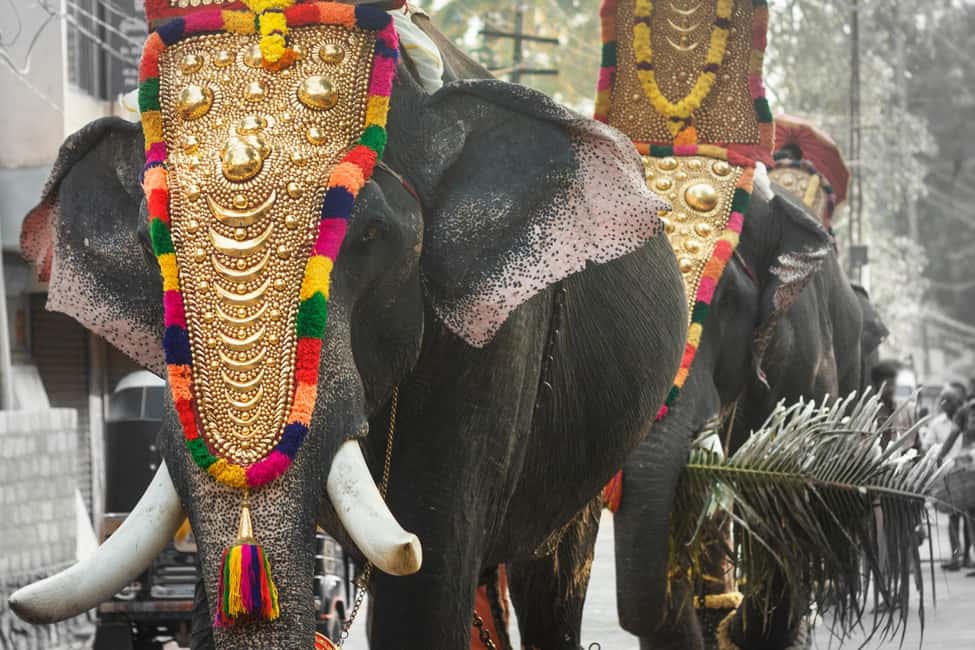 Cochin: 5-Day Munnar, Thekkady, and Alleppey Tour - Day 1: Cochin to Munnar tea, Mattupetty Dam, and Echo Point views