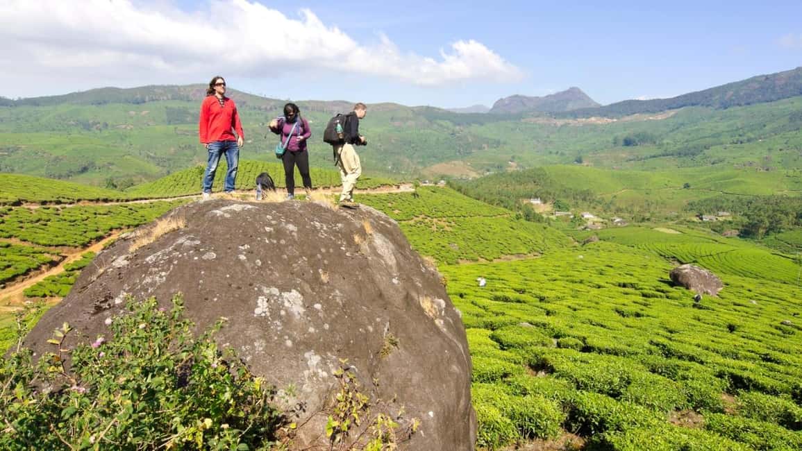 Cochin: 5-Day Private Tour of Munnar, Alleppey & Backwaters - Key reasons this 5-day Kerala loop is worth your attention