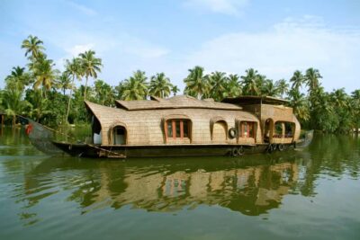 Cochin: 5-Day Private Tour of Munnar, Alleppey & Backwaters - Day 1: Cochin to Munnar through waterfalls and tea country