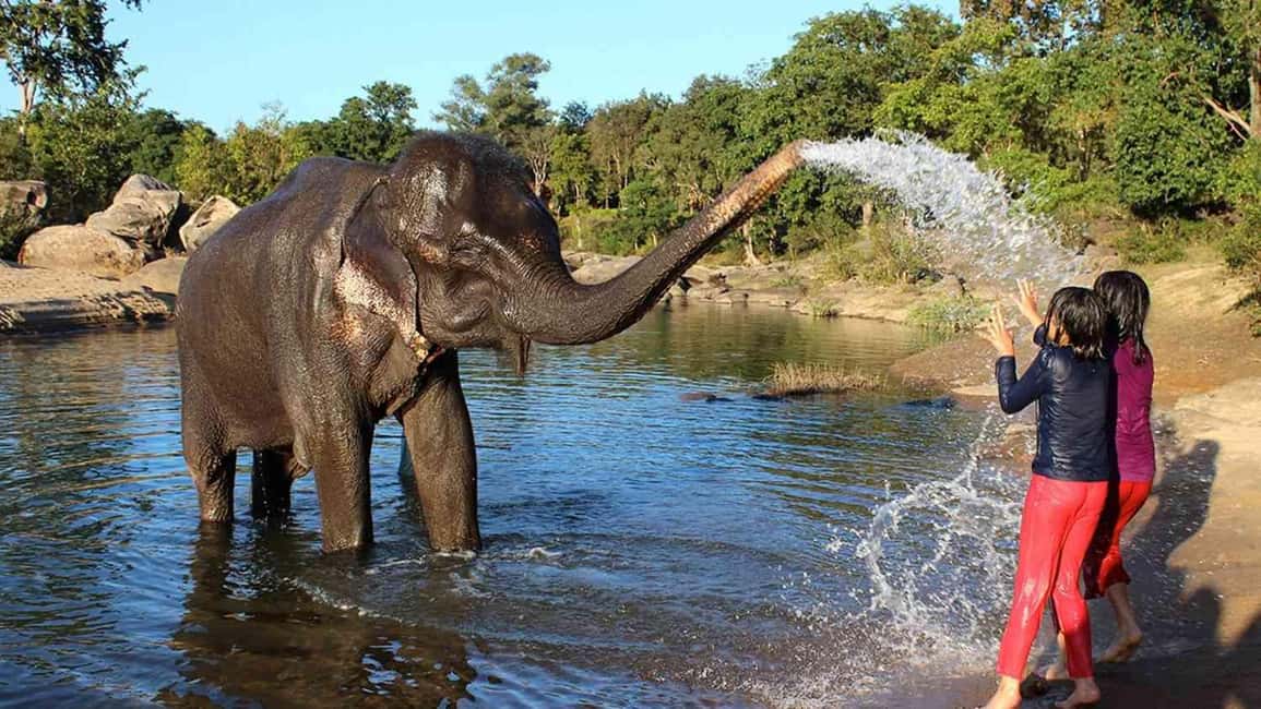 Cochin: 5-Day Private Tour of Munnar, Alleppey & Backwaters - Comfort, timing, and the small rules that keep the trip smooth
