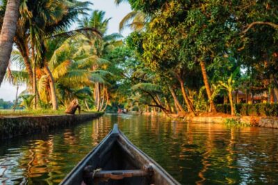 Cochin Backwaters Tour: Eco Boat Ride & Traditional Lunch - The traditional covered boat ride: where the real calm happens